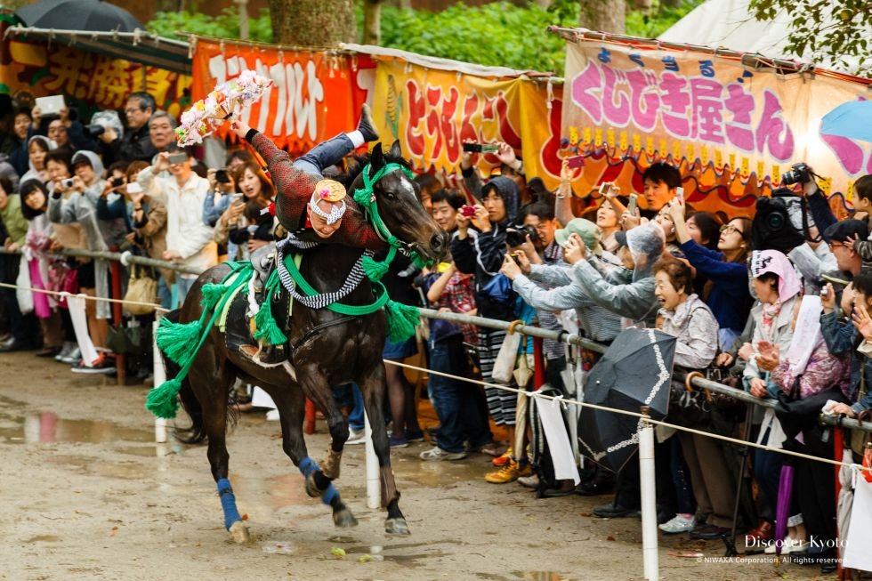 🌳 카쿠린지 공원 이미지 10